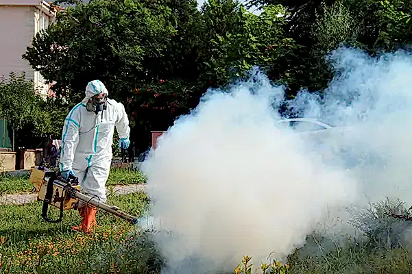 sivrisinek ve karasinek ilaçlama